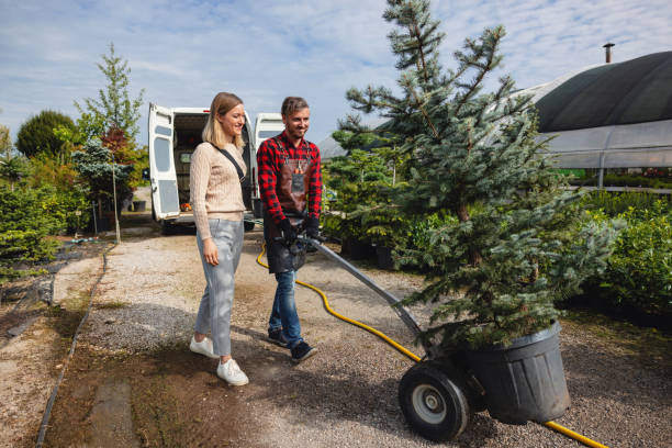 Leaf Removal in Detroit, MI